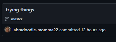 screenshot of a commit with lisa's github profile linked